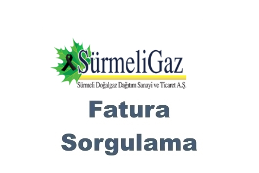 sürmeligaz doğalgaz